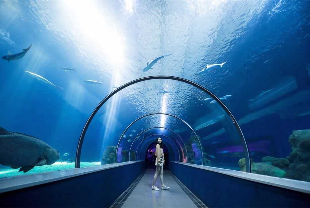 澎湖水族館の展示