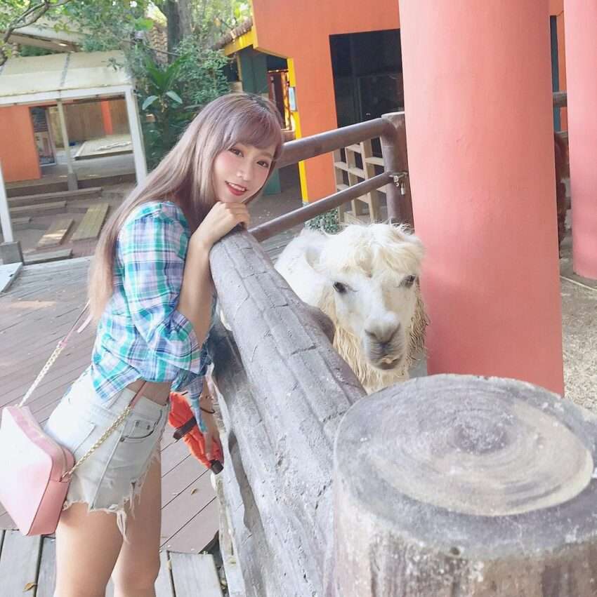 こども動物エリアでの動物との触れ合い体験