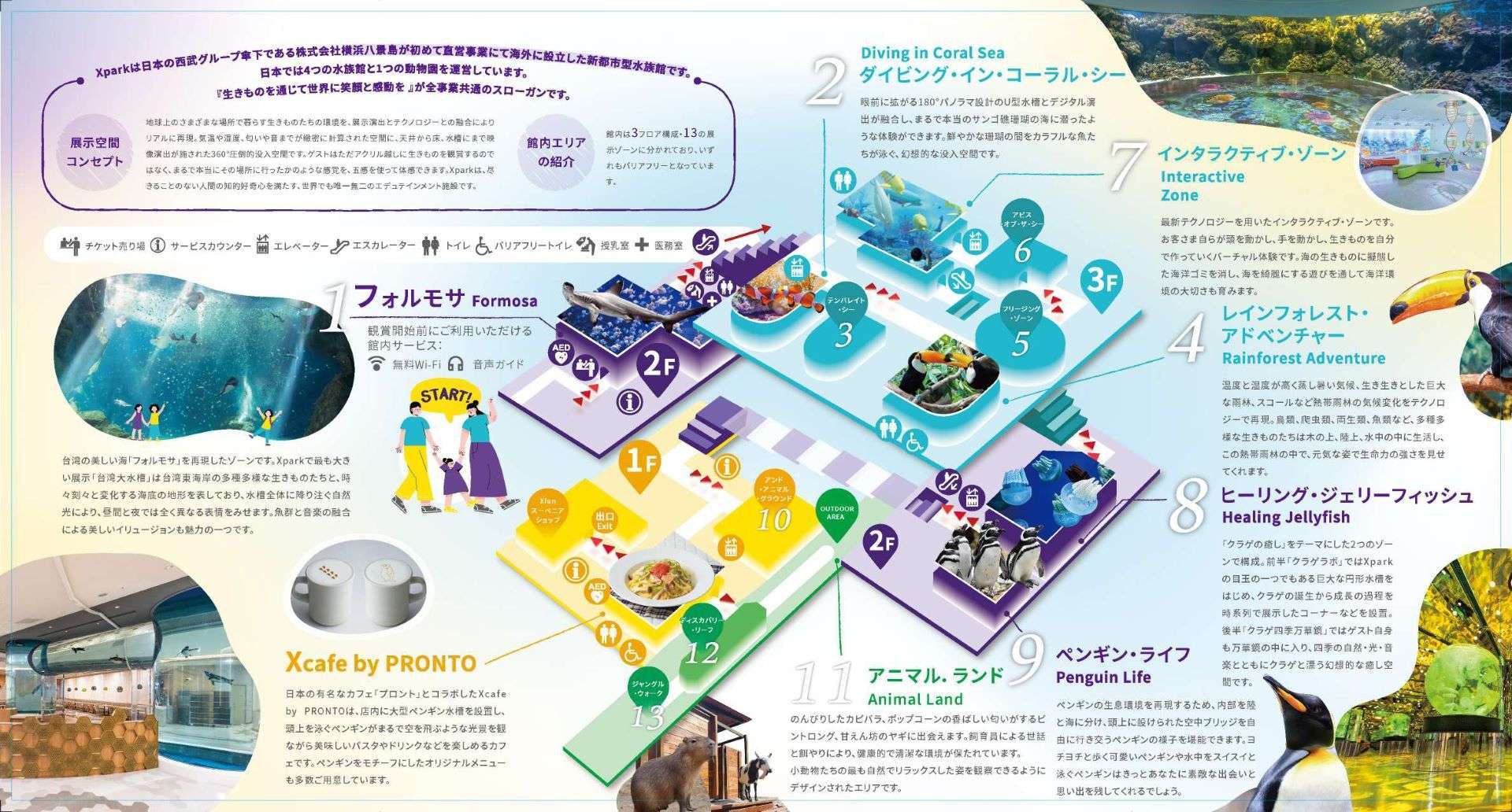 Xpark館内の鑑賞順路マップ