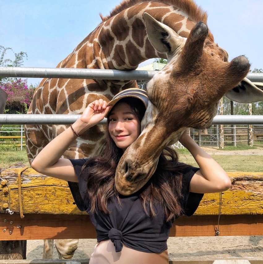 頑皮世界野生動物園。台南の親子向けスポット