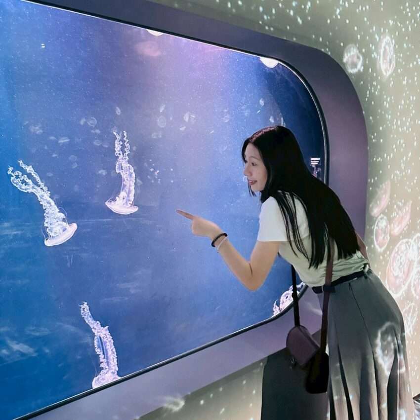 3階 クラゲ展示エリアの幻想的な水槽