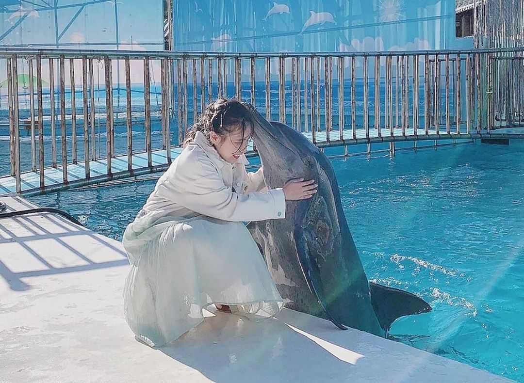 野柳海洋世界のイルカショー