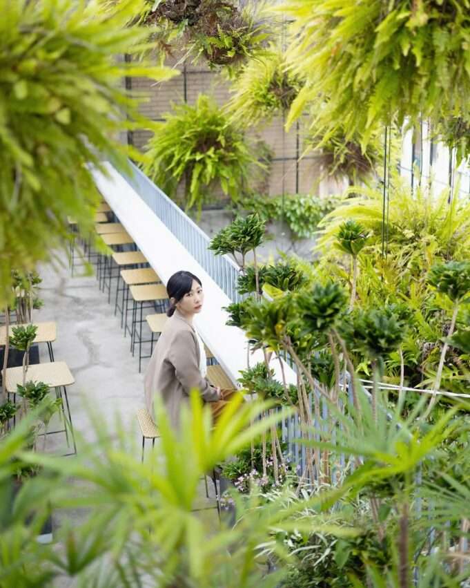 南埕衖事の半屋外空間。緑の植物に囲まれ、自然光が差し込む開放的な建築