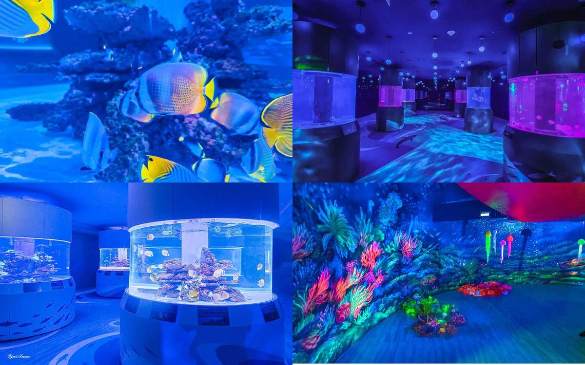 潮境智能海洋館の館内展示