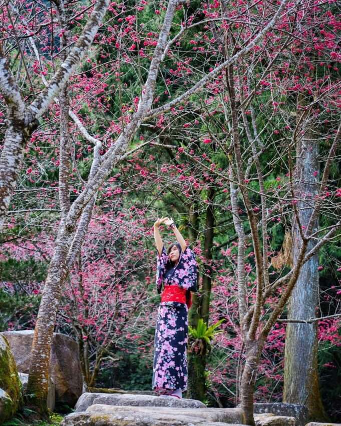 九族文化村の園内景観。ヨーロッパ式庭園の造景が広がる