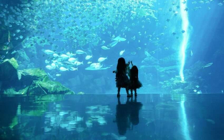 Xpark水族館完全ガイド：台北から最短20分で行ける台湾初の都市型水族館