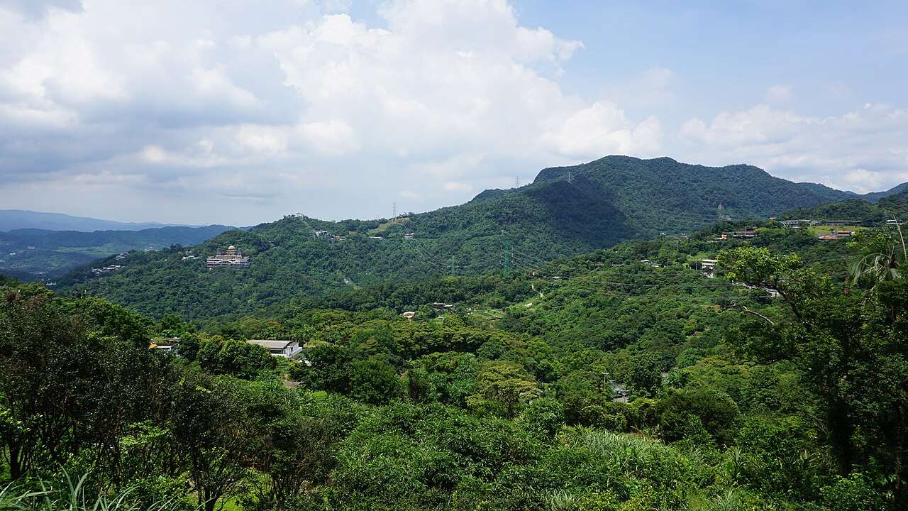 猫空の茶畑風景。文山区の山間地帯特有の地理環境が、鉄観音と文山包種茶の栽培に適した条件を生み出しています