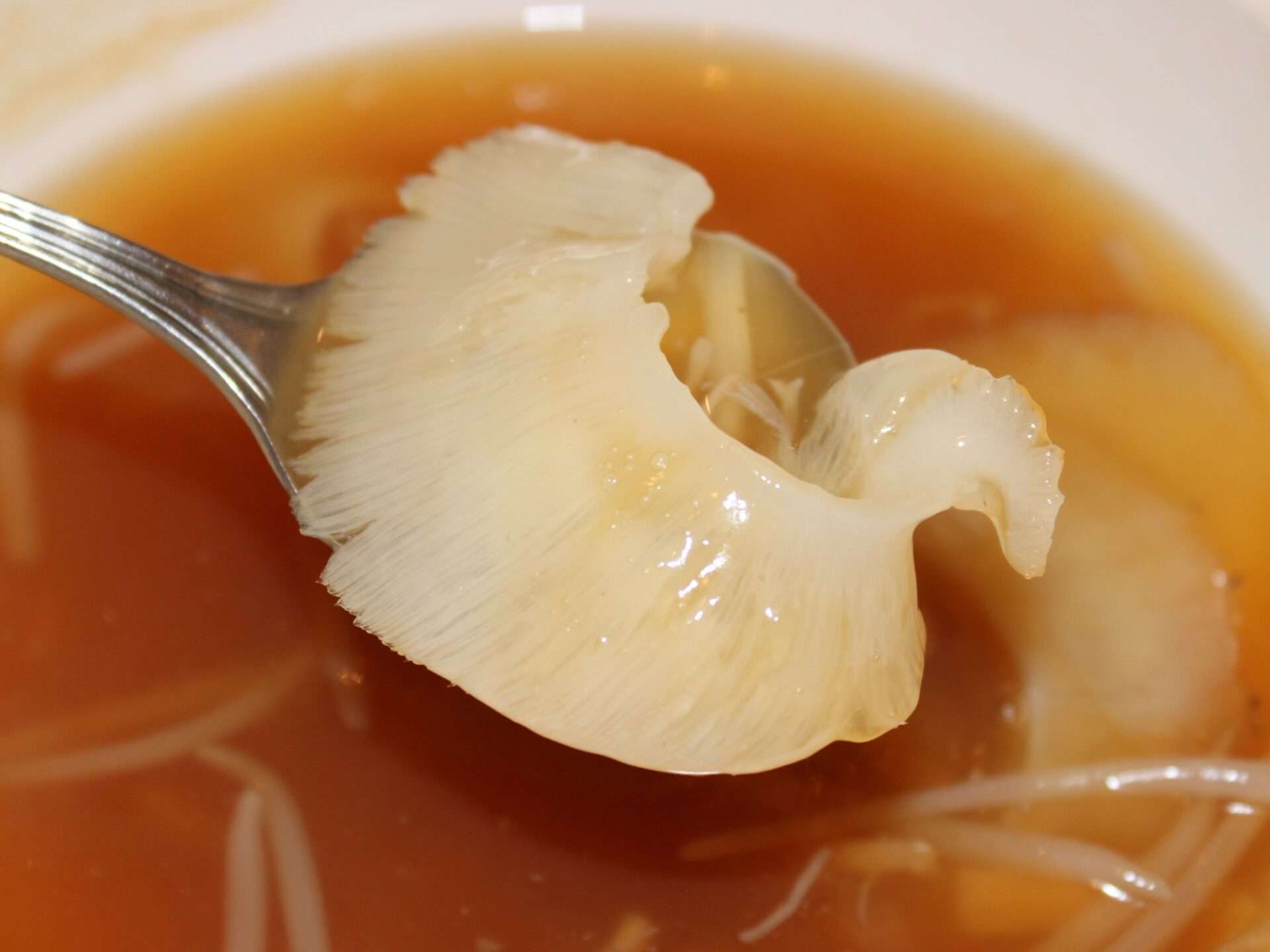 龍鮑翅魚翅餐庁の高級中華料理