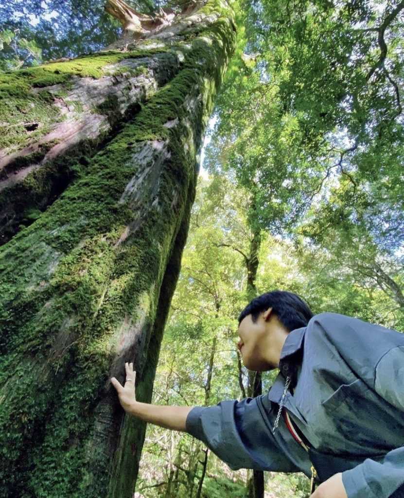 同エリアの豊かな生態系。山の植生の景観