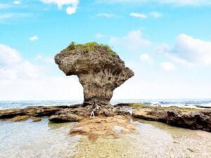 小琉球観光完全ガイド|花瓶岩・ウミガメ・フェリーアクセスまで徹底解説