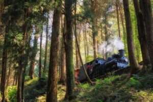 阿里山森林鉄道完全ガイド｜嘉義から阿里山を結ぶ登山列車の魅力と乗り方