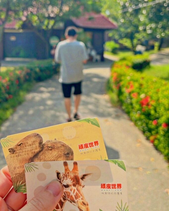 同動物園の現地販売チケット。4種類のデザインが揃ったコレクターズカード