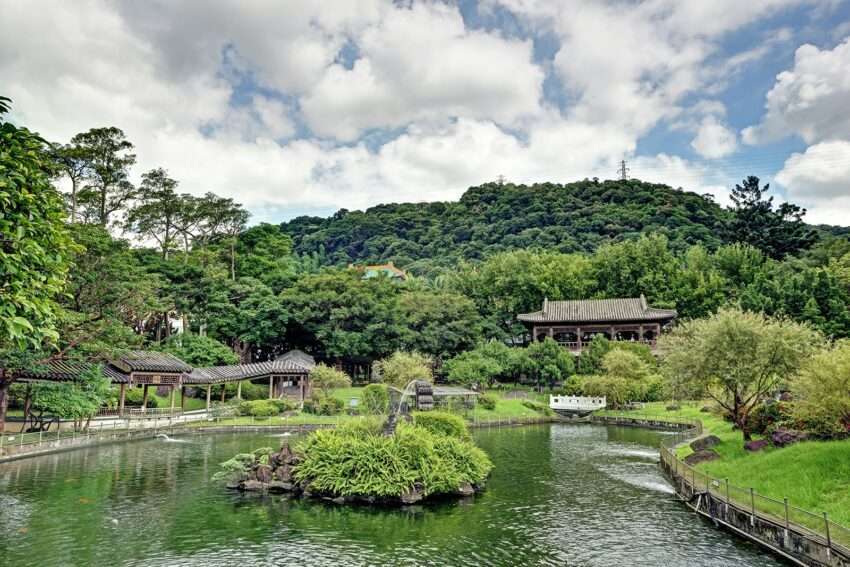 至徳園の夏の蓮池。大きな蓮の葉が水面を覆い静かな景色が広がる