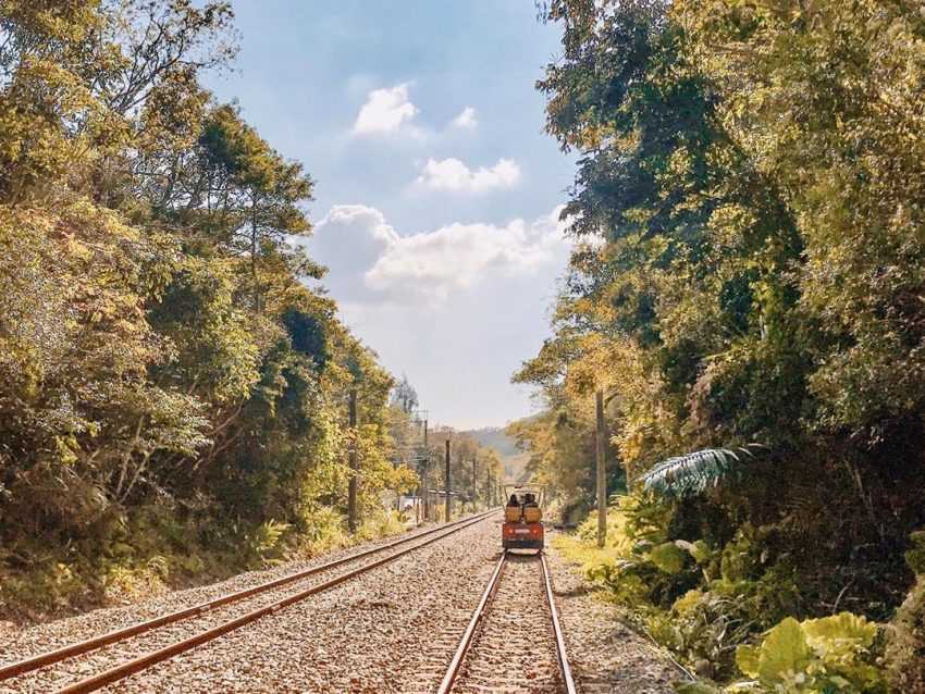 旧山線沿いに保存された百年鉄橋の構造。近代鉄道工学の美しさを伝えています