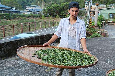 文山包種茶の産地・坪林と石碇の茶産地風景。台北から約1時間の距離にある。