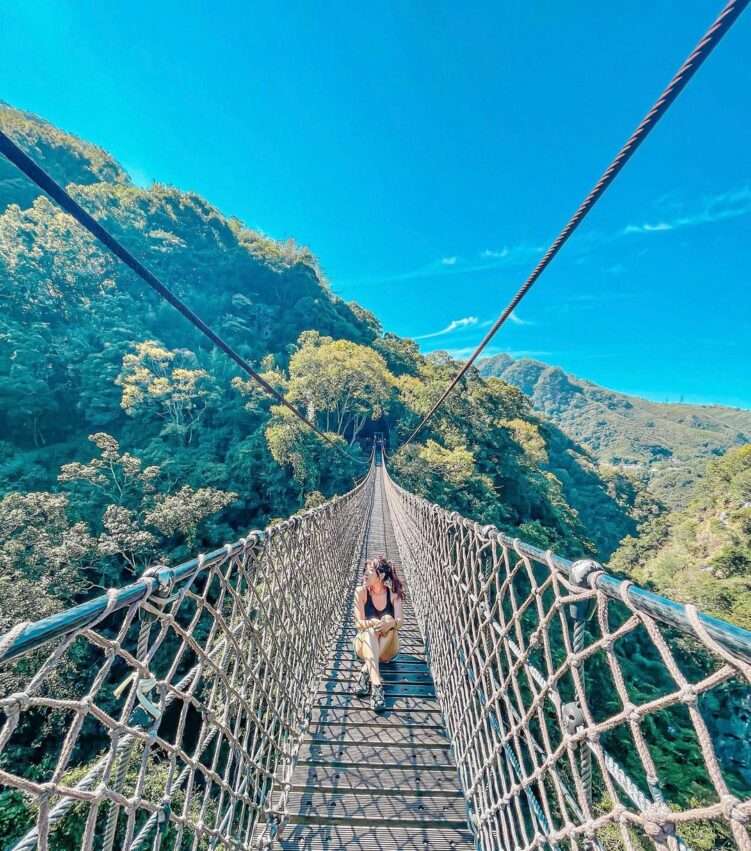 小烏来天空歩道の空橋と山谷の景観