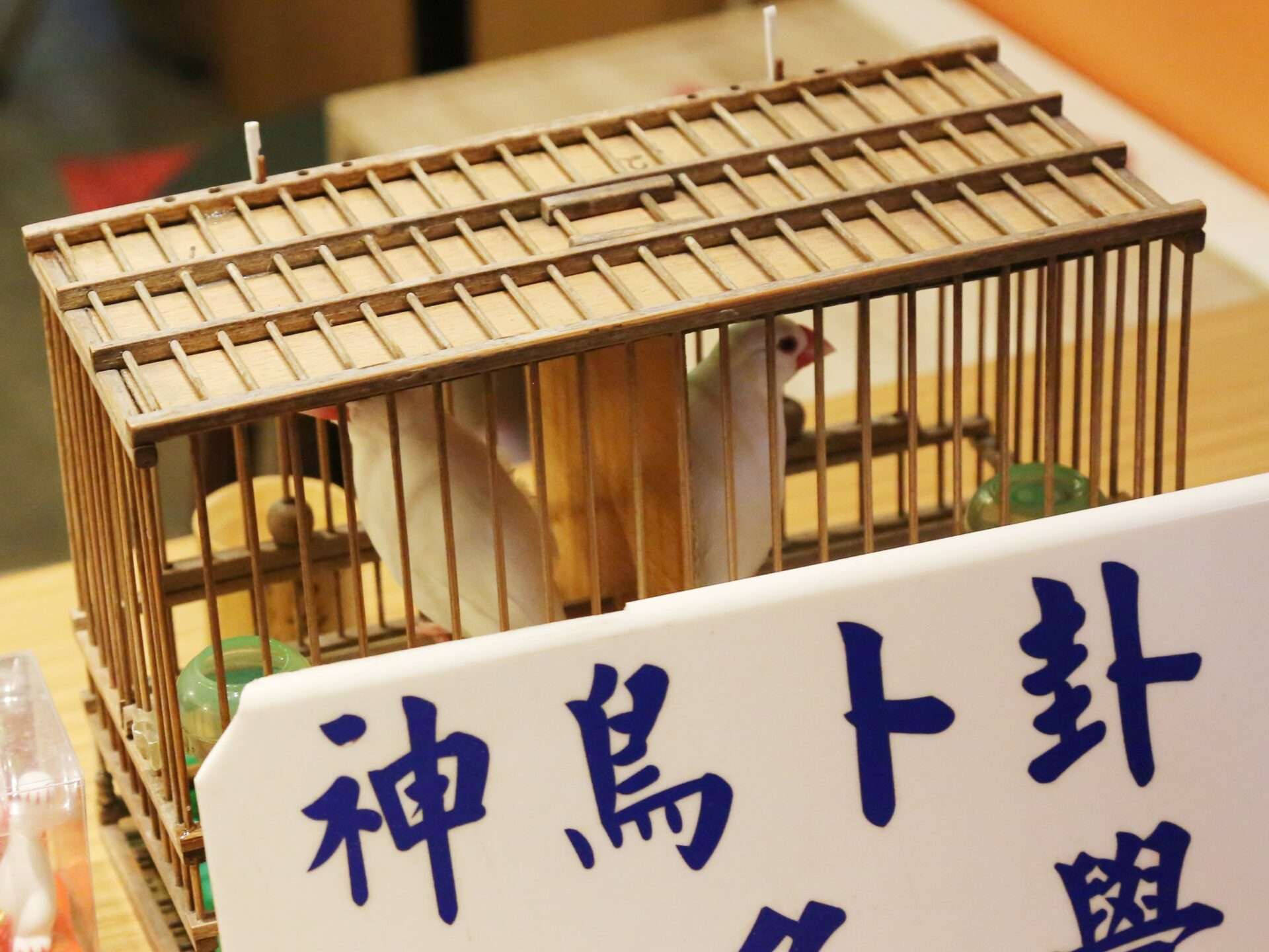 夜市の屋台で並ぶ台湾グルメ
