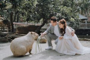 頑皮世界野生動物園完全ガイド:チケット料金・アクセス・見どころ・1日モデルコース