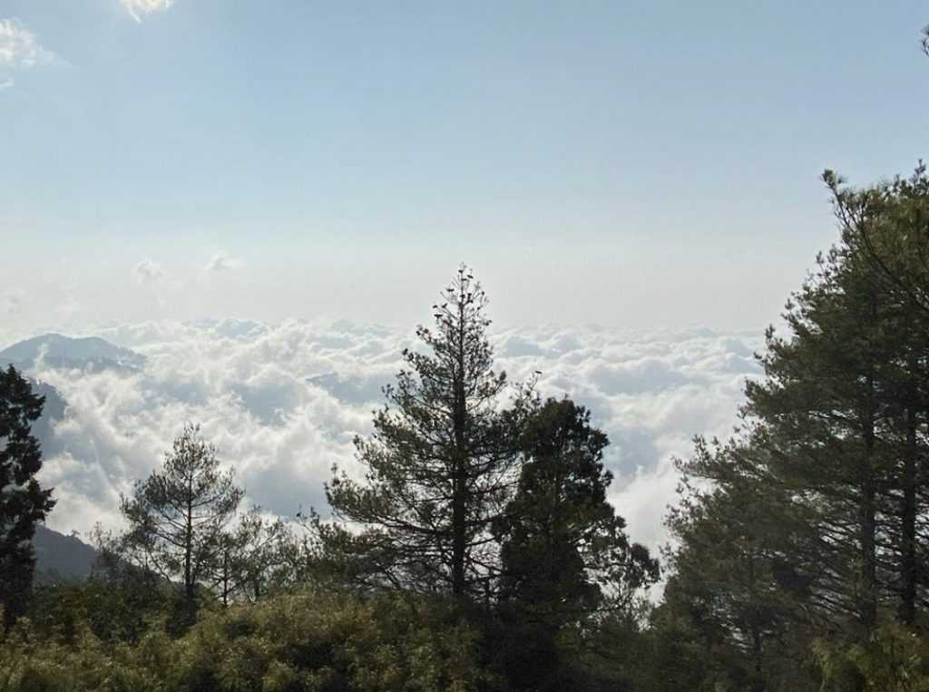 大雪山の埡口展望台。海抜2,600mから360°の眺望