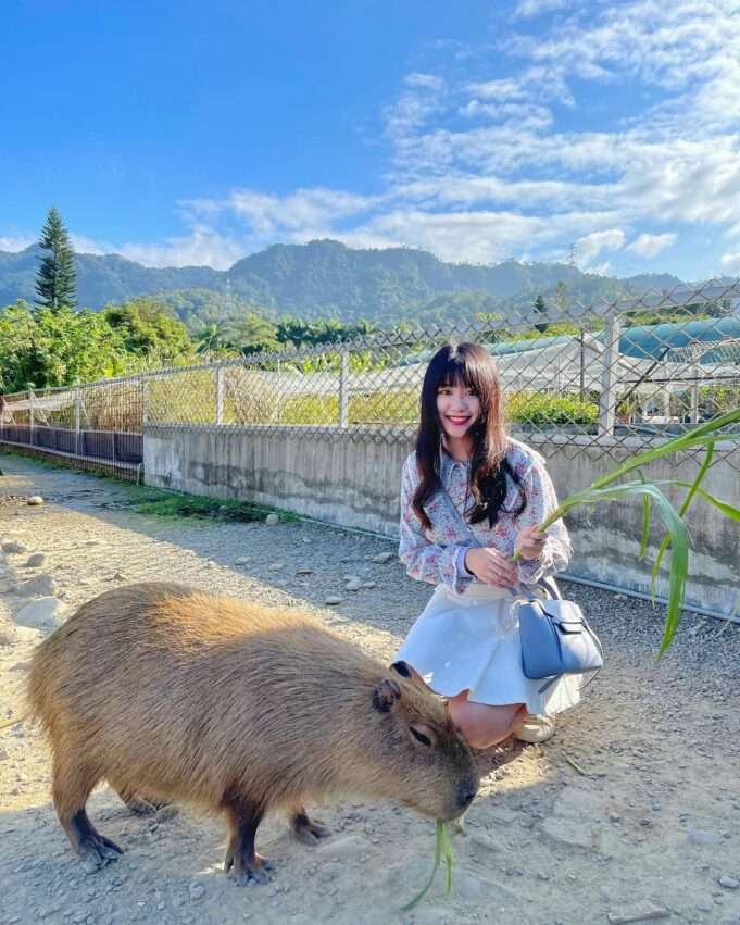 花鹿秘境 李家しじみ農場の屋外農業体験の様子