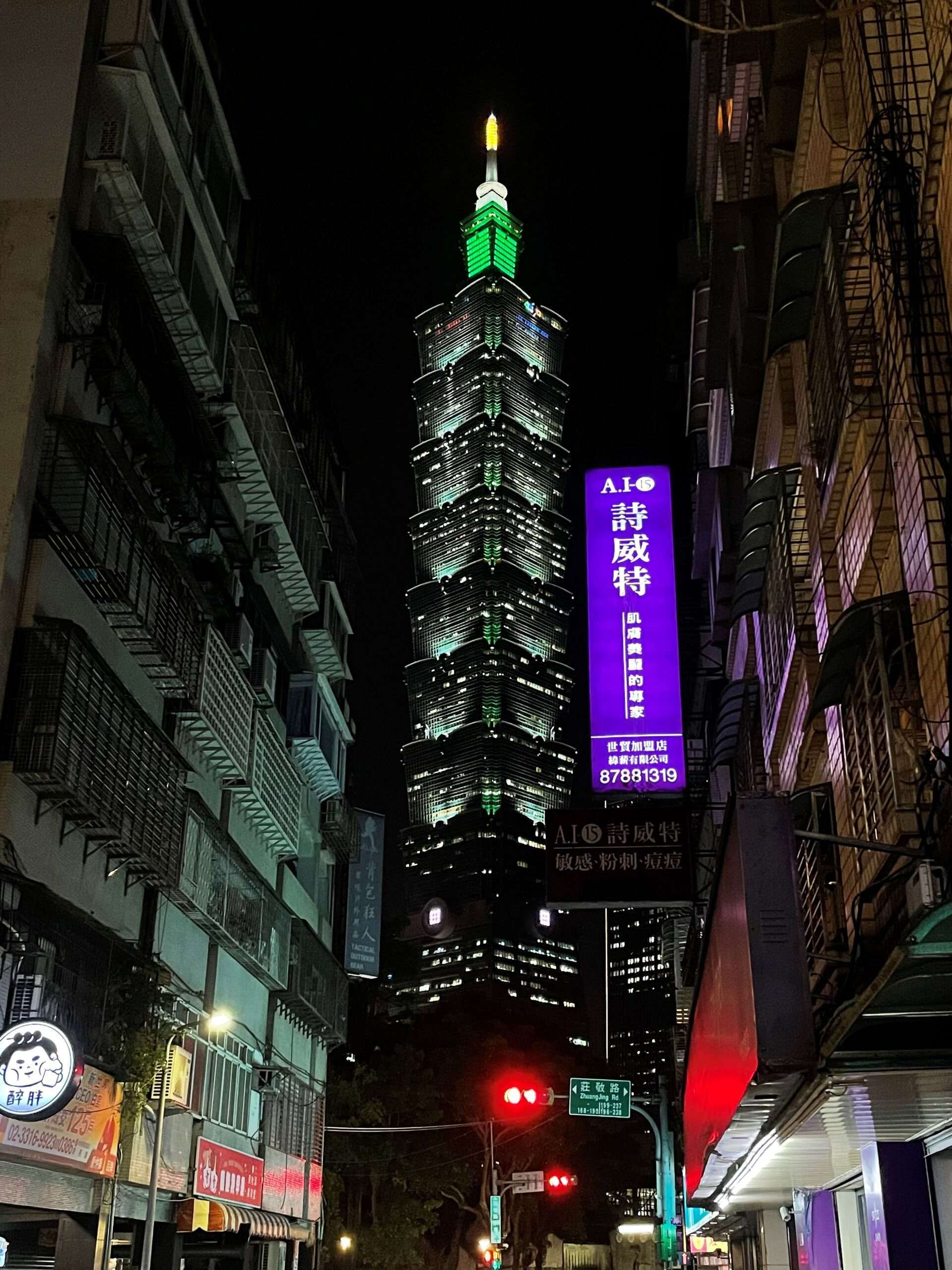 台北101を遠景から見た台北市の眺め