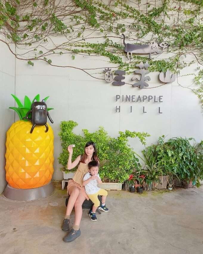 旺萊山鳳梨文化園区のパイナップルケーキと展示