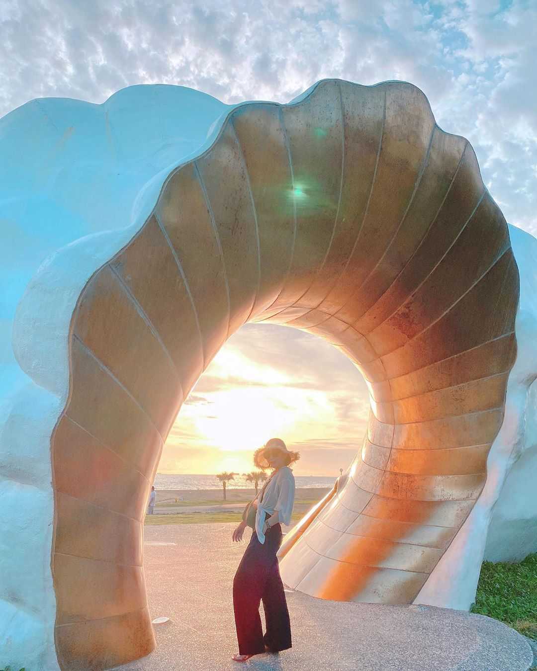 旗津貝殻館の館内に展示された大型の貝殻標本