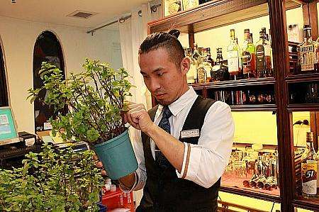ホテル内の自家農園でミントなどを栽培