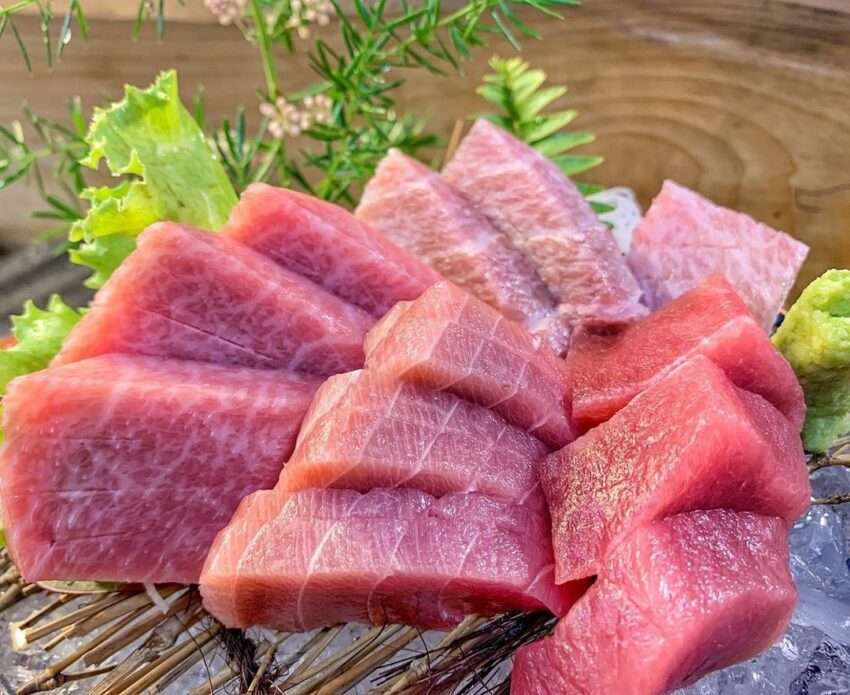 王匠黒マグロの料理全景。刺身盛り合わせ・丼・寿司など多彩なメニューが並ぶ