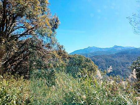 6739路線の車窓から見える山岳風景。かなりの高度を上げた地点の眺め