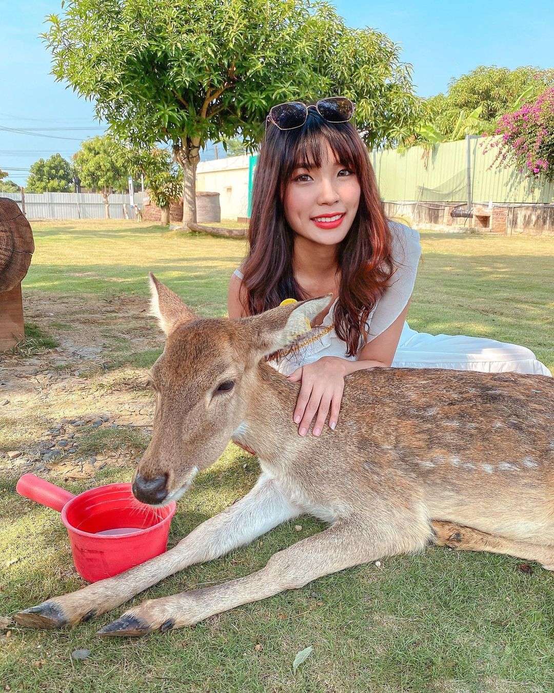 小琉球・鹿粼梅花鹿園區:台湾梅花鹿と触れ合える施設