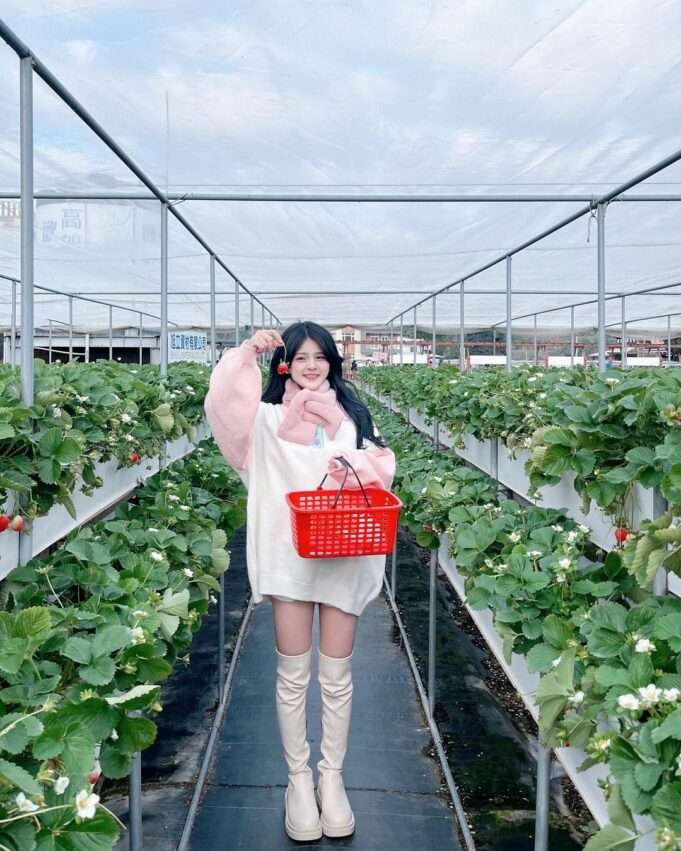 大湖草莓文化館。イチゴ栽培から加工までの過程を展示している