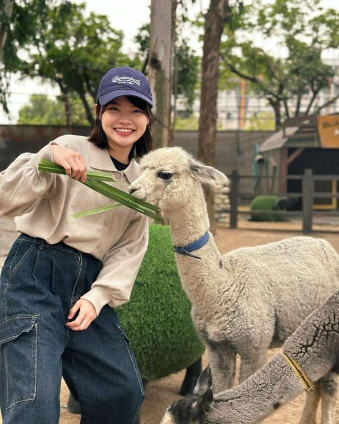 咩咩上樹ふれあい動物園での親子動物体験