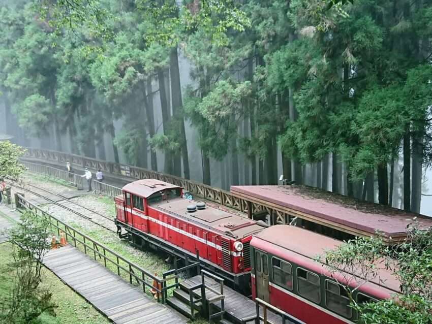 神木駅付近の巨木が立ち並ぶ森林風景