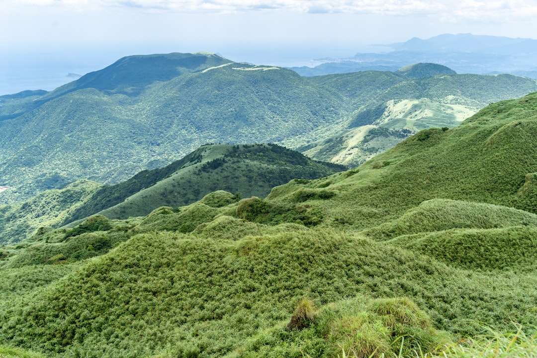 a green valley with mountains in the background