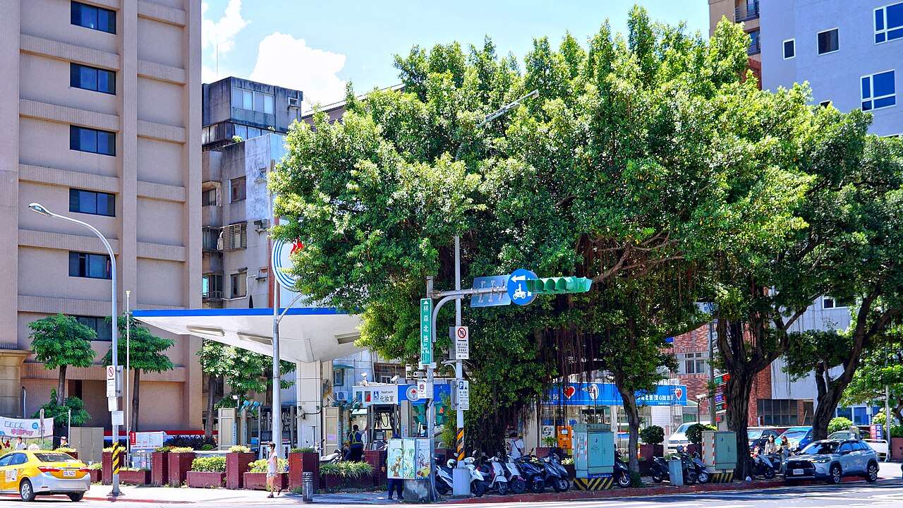 CPCCT Lin Sen North Road Station