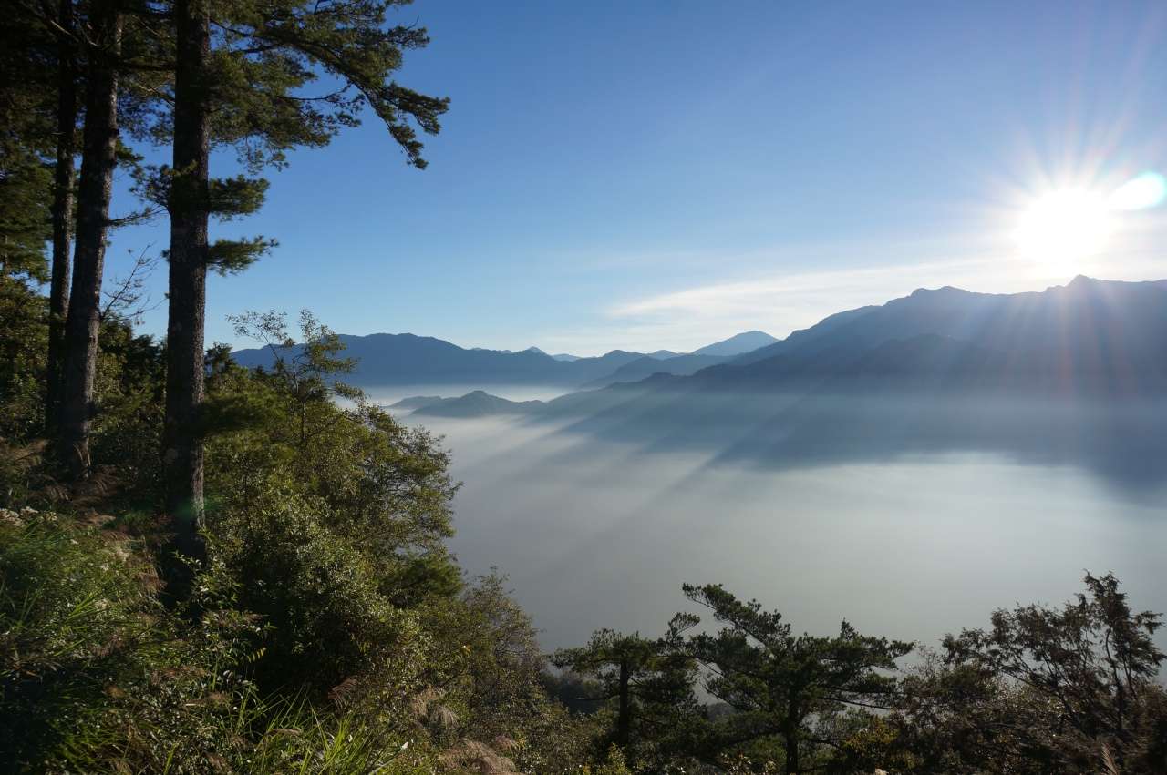 阿里山の雲海。朝日に照らされ、谷を雲海が埋めている