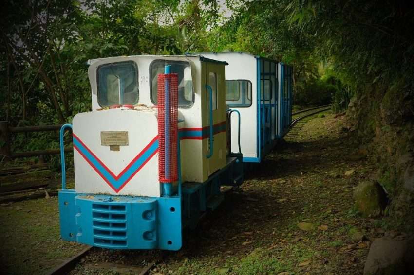 池南国家森林レクリエーションエリアに保存された昔の林業用蒸気機関車。林業陳列館の展示エリアに静態展示されている