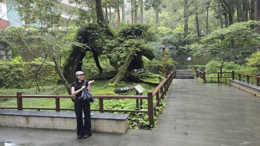 阿里山森林鉄道沿線の山林と線路の風景