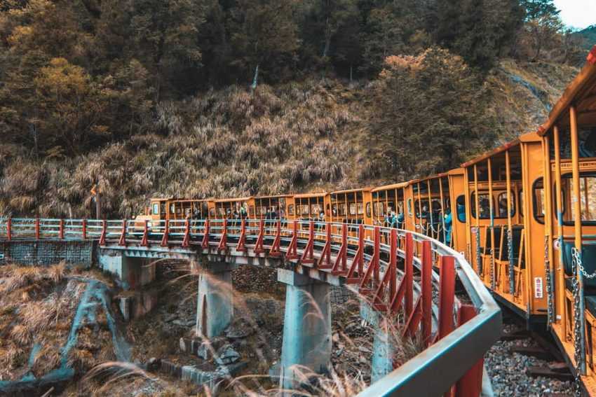 太平山のぽんぽん車（森林トロッコ列車）が山林の線路を走る。赤い車体が目を引く