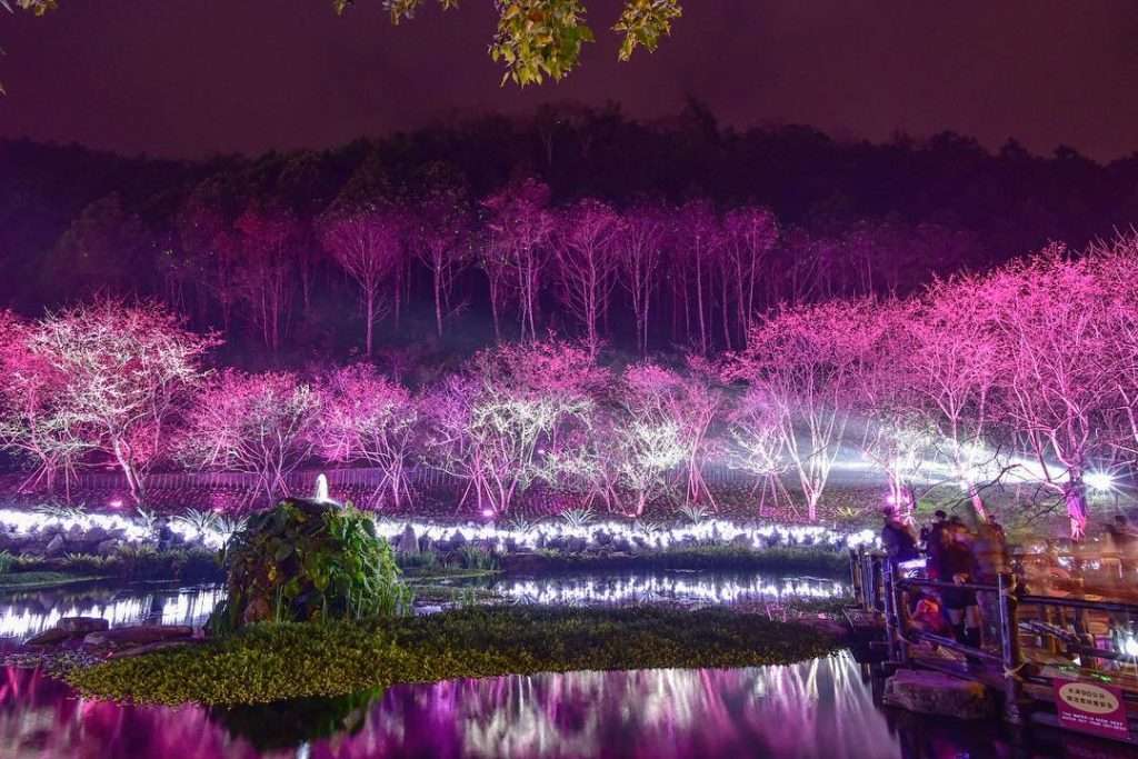 九族文化村の夜間ライトアップと湖の景観