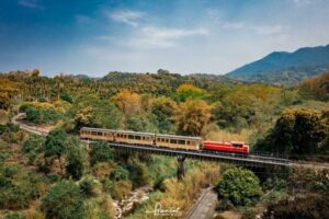 阿里山森林鉄道の赤い車両が深い山林の中を走っています