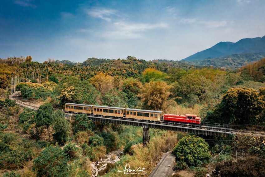 阿里山森林鉄道の赤い車両が深い山林の中を走っています