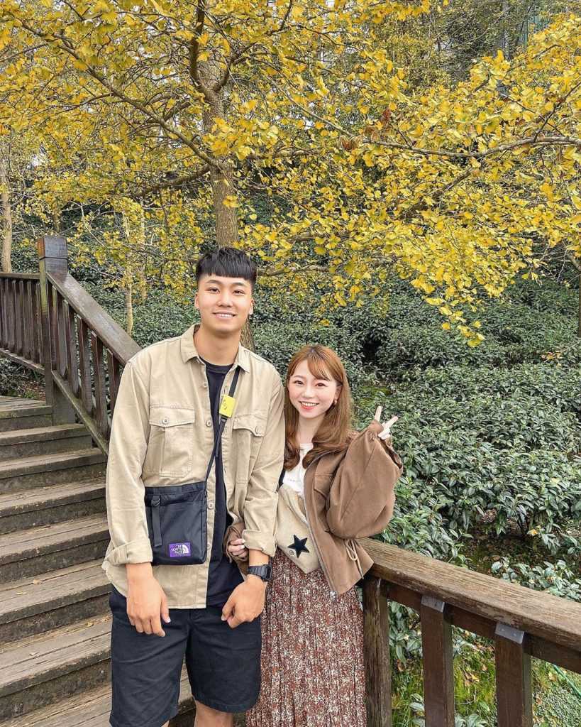 渓頭エリアの秋のイチョウ林が黄金色に輝く風景