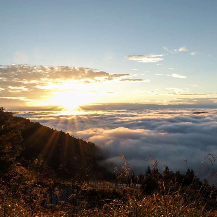 太平山の日の出と雲海。朝焼けが空と雲海を赤く染める