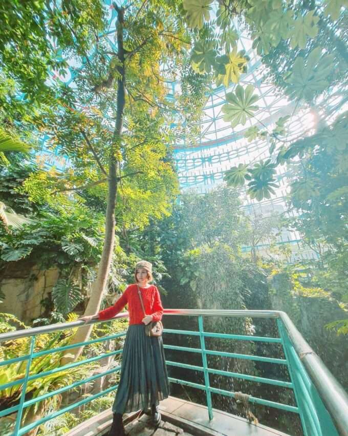 国立自然科学博物館附属植物園の温室内の熱帯植物
