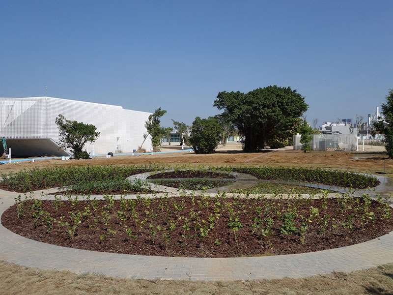 台中中央公園嗅覚体験エリアの植物景観