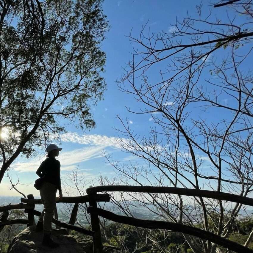 大坑登山歩道の緑豊かな木陰の山道