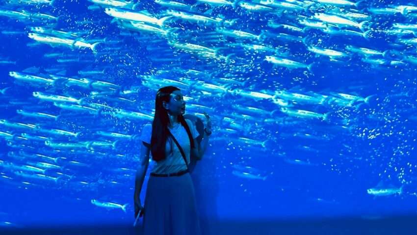台中海洋館の大型水槽。熱帯魚が泳ぐ幻想的な空間の前に広いスペースが確保されている