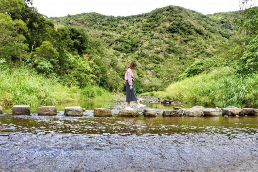 雙流瀑布。2本の水流が合わさって流れ落ち、周囲を熱帯の原生林が取り囲んでいる